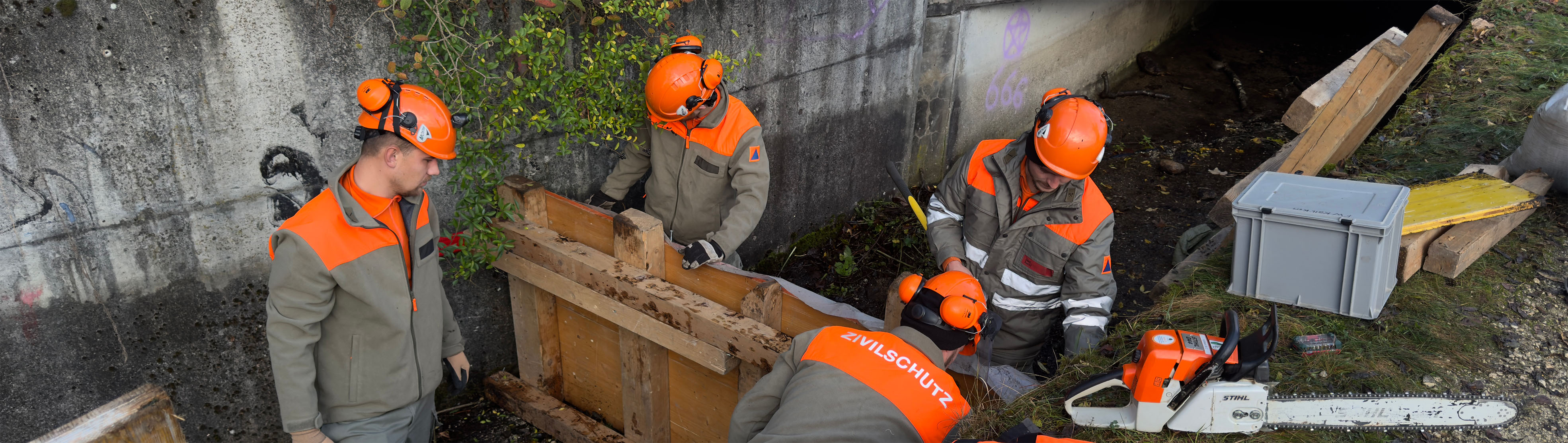 IMG_8811 tinified_7aa953yk33uq.jpg